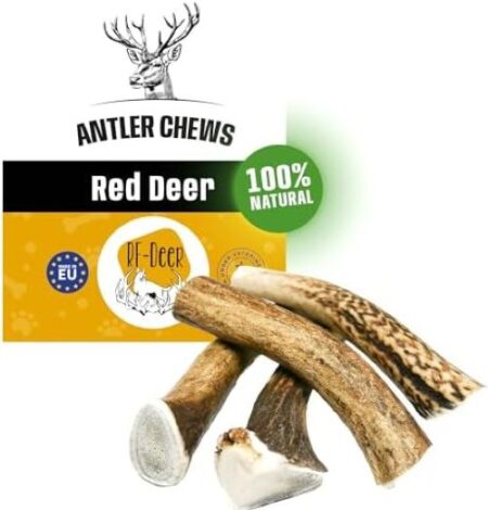 WHOLE DEER ANTLER XL