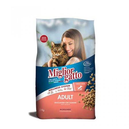 MIGLIOR GATTO CAT SALMON/HER 2KG