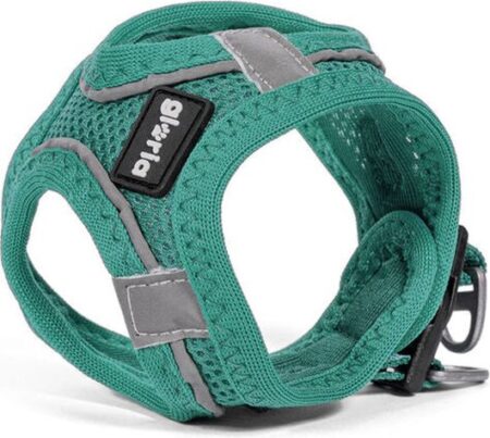 GLORIA AIR TREK STAR HARNESS L TURQOUISE